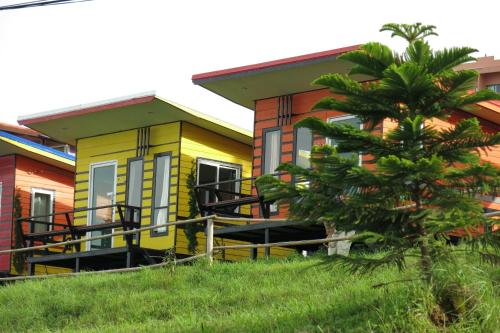 a row of colorful houses with a palm tree in front at ไร่กะหล่ำหวาน ภูทับเบิก in Ban Phu Pun