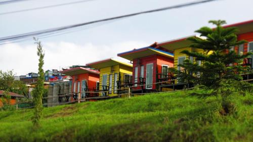 a row of colorful houses on top of a hill at ไร่กะหล่ำหวาน ภูทับเบิก in Ban Phu Pun
