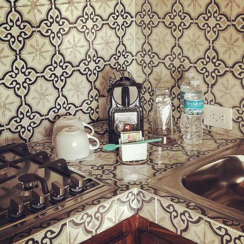 a kitchen counter with a stove and a sink at Casa Miura Hotel Boutique in Ajijic