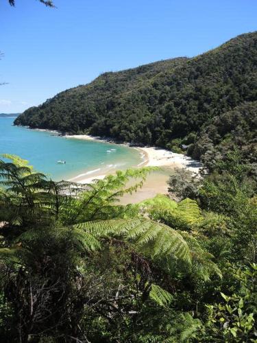 a view of a beach with trees and the ocean at Buena Vista Apartment in Marahau