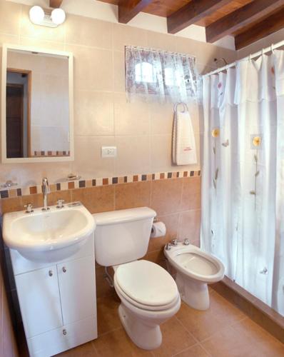 a bathroom with a toilet and a sink and a shower at Cabañas Los Duendes in Villa General Belgrano