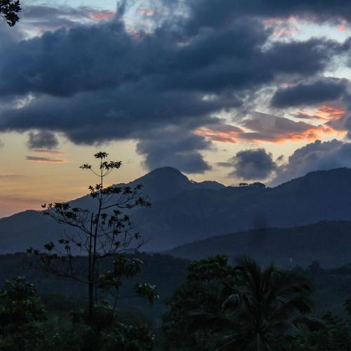 a sunset in the mountains with a tree in the foreground at Paradise Forest Garden in Matale