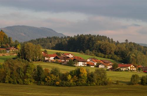 a group of houses in a green field with trees at Ferienhaus Bergesblick in Lam