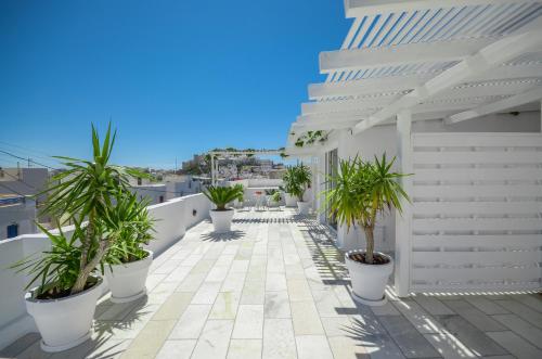 een balkon met potplanten in een wit gebouw bij Adriani Hotel in Naxos Chora