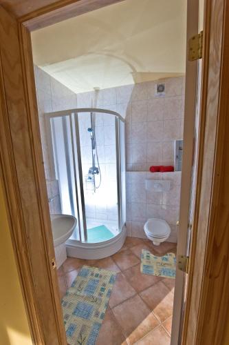 a bathroom with a shower and a sink at Apartmani Ibolja in Promajna
