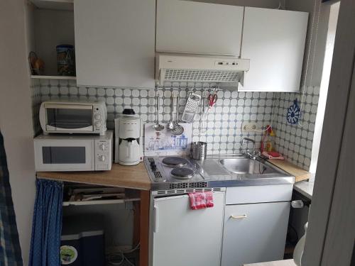 a small kitchen with a sink and a microwave at Horn Ingrid in Neustadt in Holstein