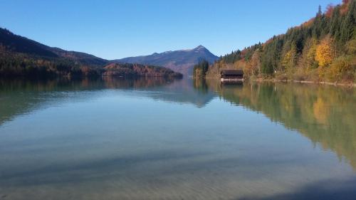 a lake with a house in the middle of a forest at Landhotel Lärchenhügel in Oberammergau