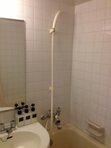 a bathroom with a sink and a tub with a shower at Hotel Horidome Villa in Tokyo