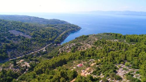 an aerial view of a lake with trees and houses at Greenside Cottage Lumi in Vela Luka