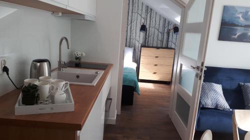 eine Küche und ein Bad mit einem Waschbecken und einem Zimmer in der Unterkunft Apartamenty nad Jeziorem Necko in Augustów