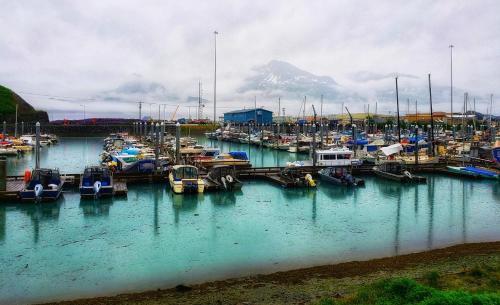 a bunch of boats docked in a harbor at Keystone Hotel in Valdez