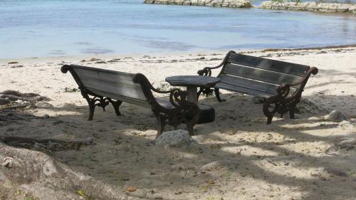 a bench and a picnic table on the beach at Cactus Anse Des Rochers in Saint-François