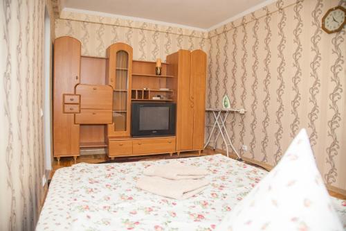 ザポリージャにある1 room apart on str. Ukrainskaya 34のベッドルーム1室(ベッド1台、テレビ付)