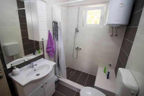 a bathroom with a sink and a toilet and a shower at Apartment Garden in Blagaj