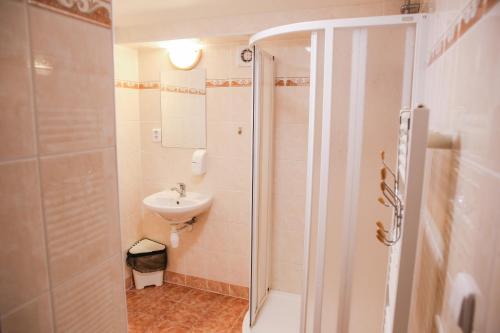 a bathroom with a shower and a sink at Chata Bajama in Bedřichov