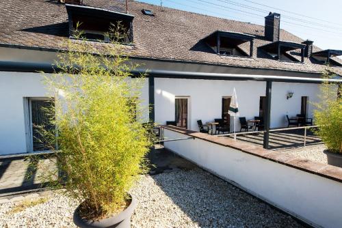 an external view of a house with plants on the roof at Hotel Weinhaus Weis in Leiwen