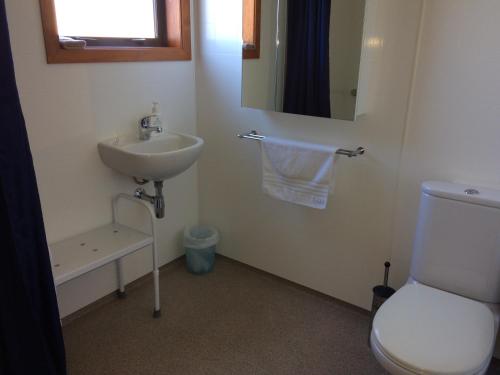 La salle de bains est pourvue d'un lavabo, de toilettes et d'un miroir. dans l'établissement Acheron Cottages, à Manapouri