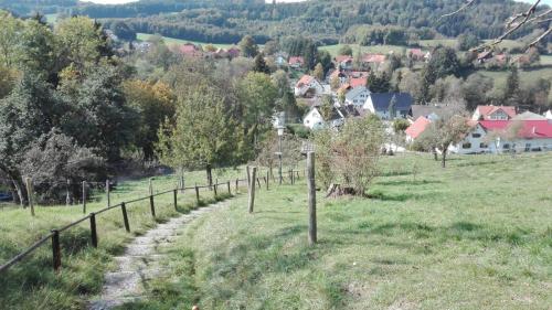 a path in a field with a village in the background at Gemütliche Wohnung in Wolfegg - Das Tor zum Allgäu in Wolfegg