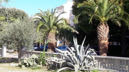 Apartman Davor u centru Crikvenice, sa pogledom na more