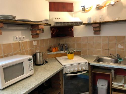 cocina con microondas y fregadero en Apartmán Pavla, en Ostružná