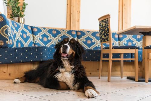 a dog laying on the floor in front of a couch at Hotel Lory in Molveno