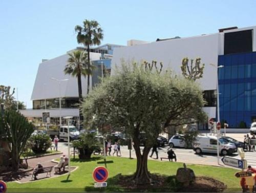 1 bedroom in front of the Palais!