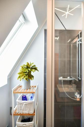 a bathroom with a shower and a plant on a shelf at Altstadt Apartment Deluxe in Cottbus