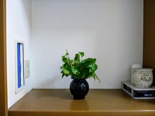 a black vase sitting on a table with a plant at At Home N23 in Sapporo