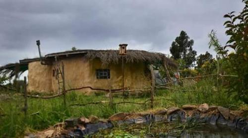 een oud huis met een grasdak in een veld bij Hobbit House in Tandil