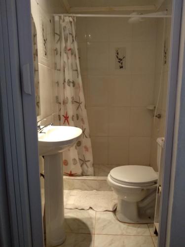 a bathroom with a sink and a toilet at Don Alejandro Apart Iguazu in Puerto Iguazú