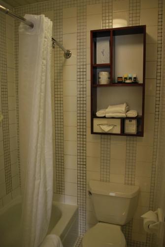 a bathroom with a toilet and a tub and a shower at Washington Square Hotel in New York