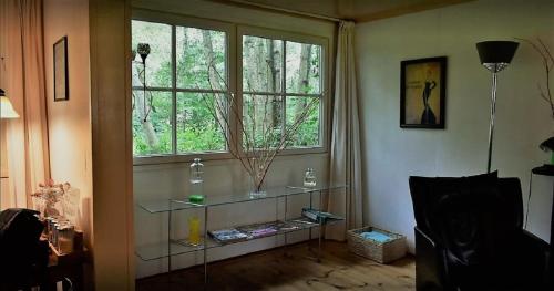 a living room with a glass shelf in front of a window at De Vuurplaats in Drachten