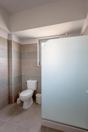 a bathroom with a toilet and a window at Paulsia Apartments in Psinthos