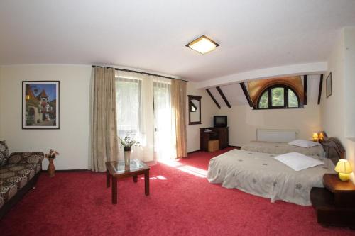 a bedroom with a large bed and a couch at Hotel Victoria in Borşa