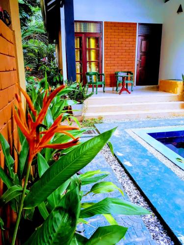 a house with a swimming pool and some plants at Randoni Villa in Raddoluwa