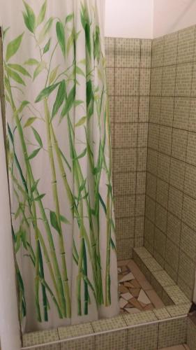 a shower curtain with bamboo in a bathroom at Chambre n°1 dans la maison du bonheur in Les Abymes