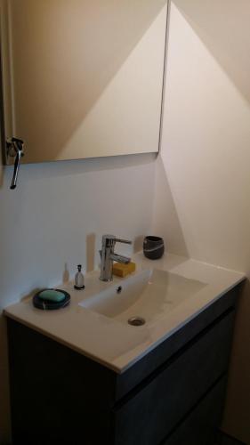 a bathroom sink with a mirror on top of it at Chambre n°1 dans la maison du bonheur in Les Abymes