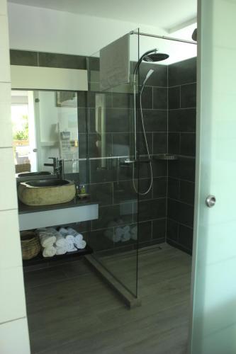 La salle de bains est pourvue d'une douche et d'un lavabo. dans l'établissement Studio Montgérald, à Fort-de-France