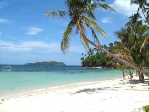 a beach with palm trees and the ocean at Punta Bulata White Beach Resort & Spa in Sipalay