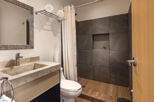 La salle de bains est pourvue d'un lavabo, de toilettes et d'une douche. dans l'établissement ROOM Hotel & Suites, à Puebla