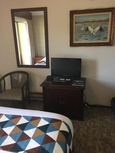TV a/nebo společenská místnost v ubytování Spring Villa Hotel