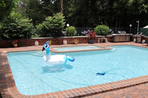 a woman is swimming in a pool with a dog at Mt Tamborine Motel in Mount Tamborine