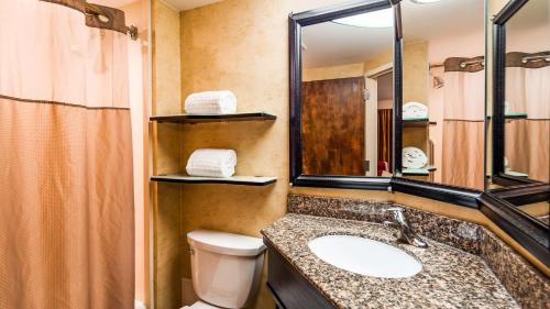 ein Badezimmer mit einem Waschbecken, einem WC und einem Spiegel in der Unterkunft Best Western Bar Harbour Inn in Massapequa Park