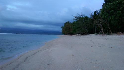 a sandy beach with trees and the water at Kambuna Bungalow in Krui
