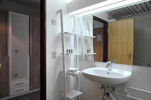 a bathroom with a sink and a mirror at SEEGER Living Classic East in Karlsruhe