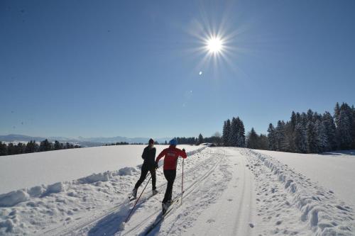 two people cross country skiing on a snow covered road at Hotel Alpenrose gut schlafen & frühstücken in Scheidegg