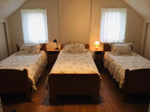 een slaapkamer met 2 aparte bedden en 2 ramen bij Bed & Breakfast 'Het Oude Nest' in Kessel