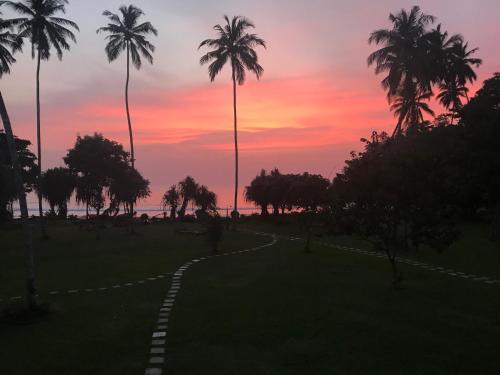 a winding path with palm trees and a sunset at Talalla Retreat in Talalla