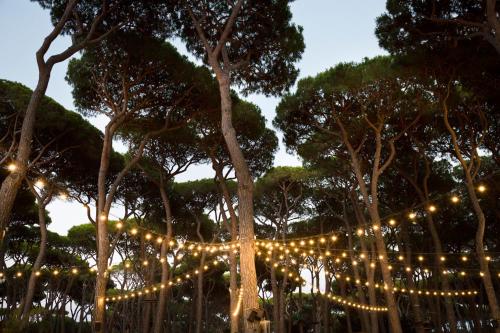 Φωτογραφία από το άλμπουμ του hu Park Albatros village σε San Vincenzo
