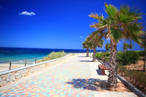 a sidewalk with palm trees and a bench on the beach at Penthouse 2 bedrooms in Mil Palmeras in Pilar de la Horadada